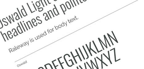 Nevada Trucking Association Brand Guidelines