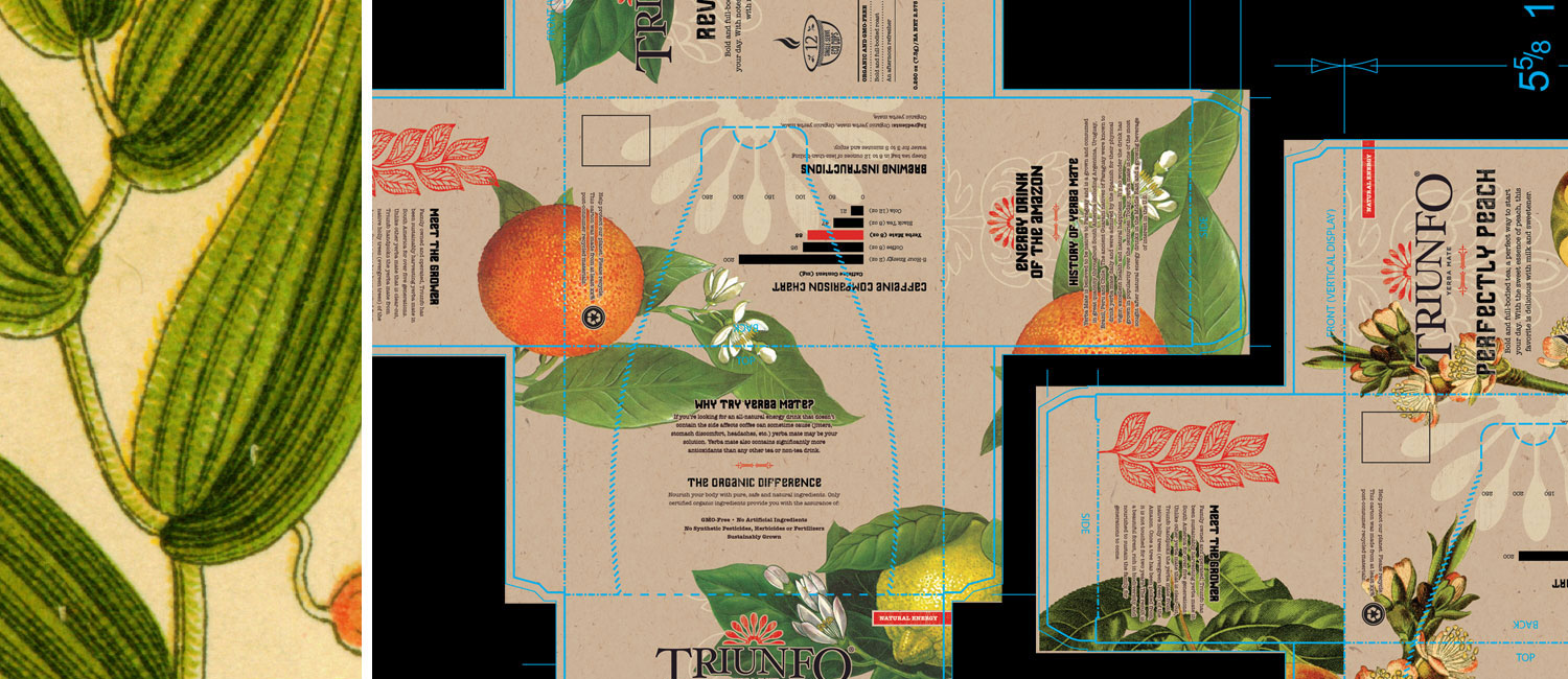 Triunfo Packaging